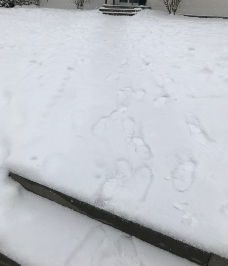 Snow Removal in Germany