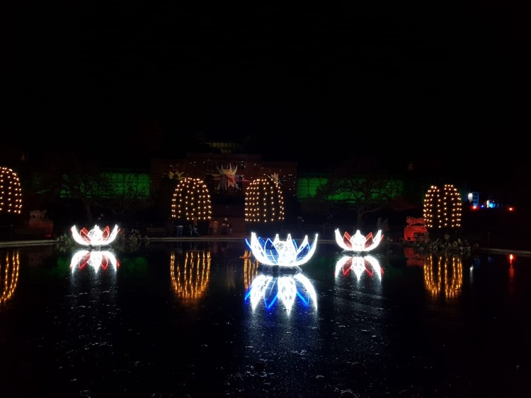 Christmas Gardens in Stuttgart
