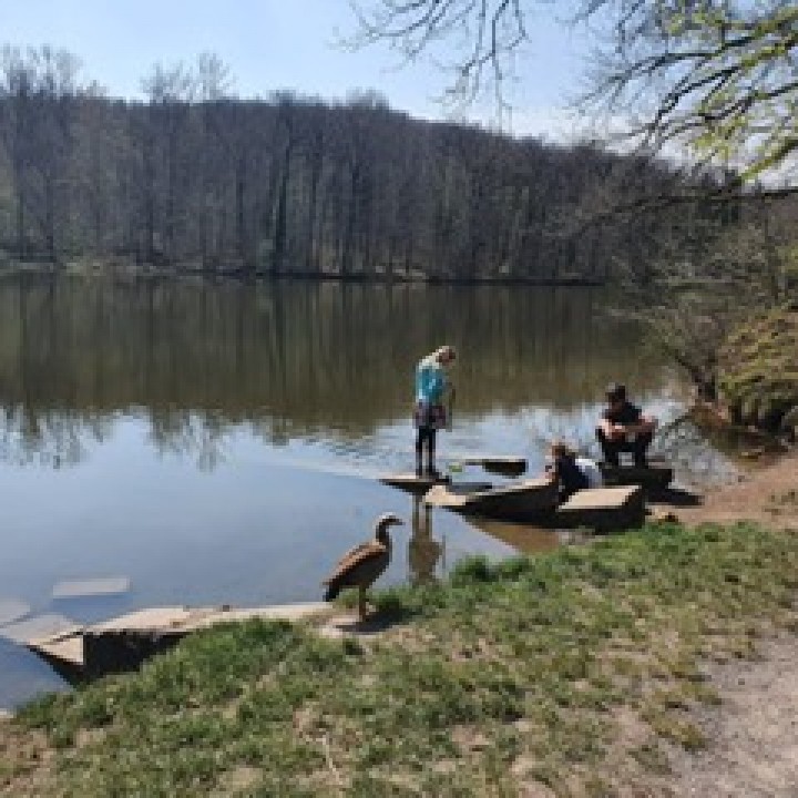 Katzenbacher SEE