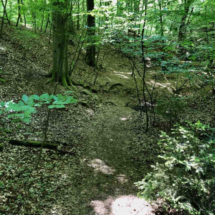 Waldebene Ost