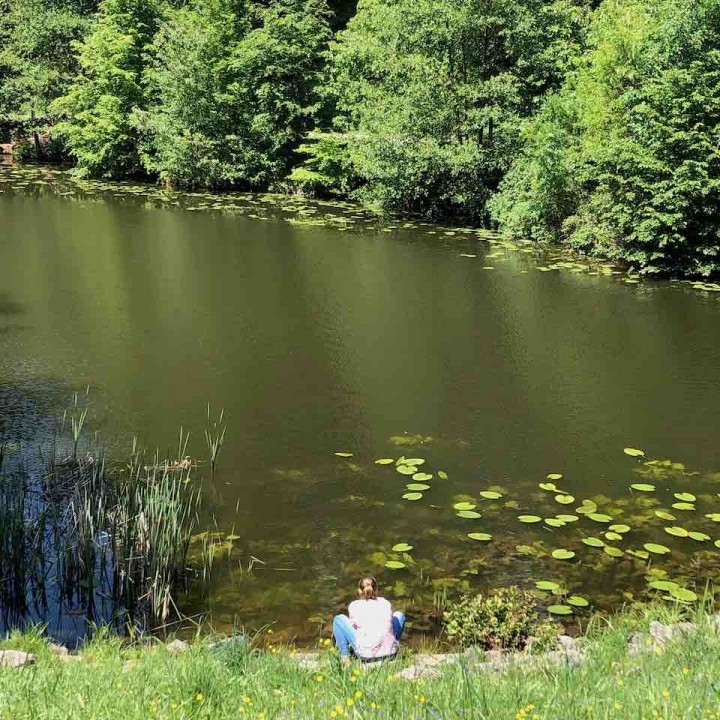 Waldebene Ost